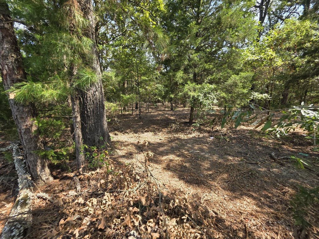 Picture 16