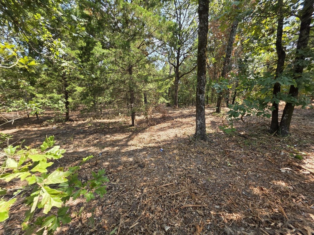 Picture 18