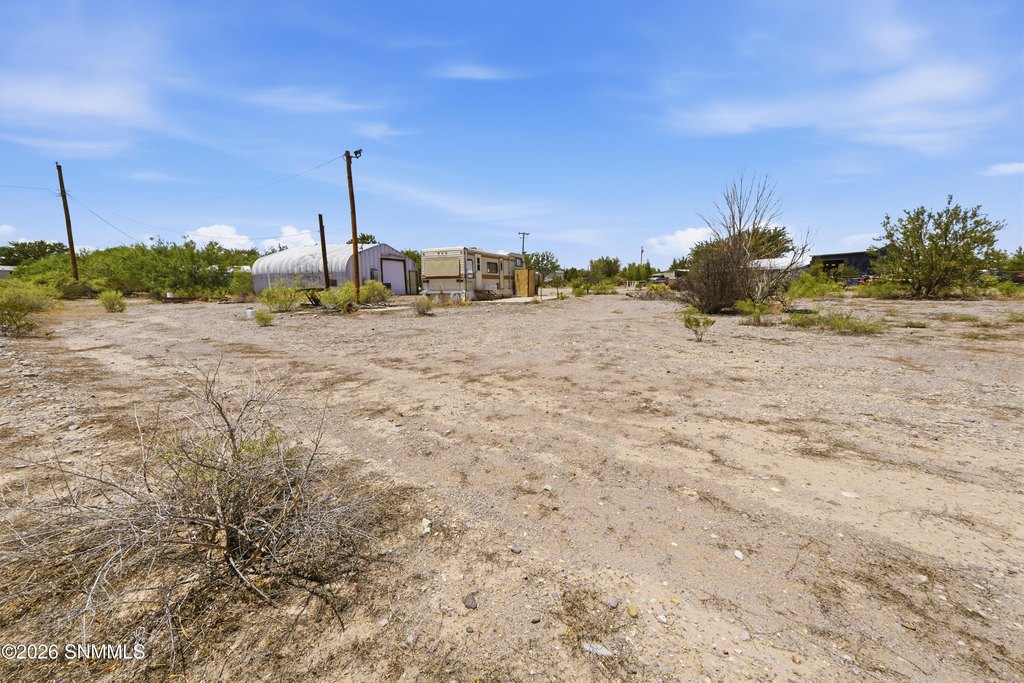 Picture 14