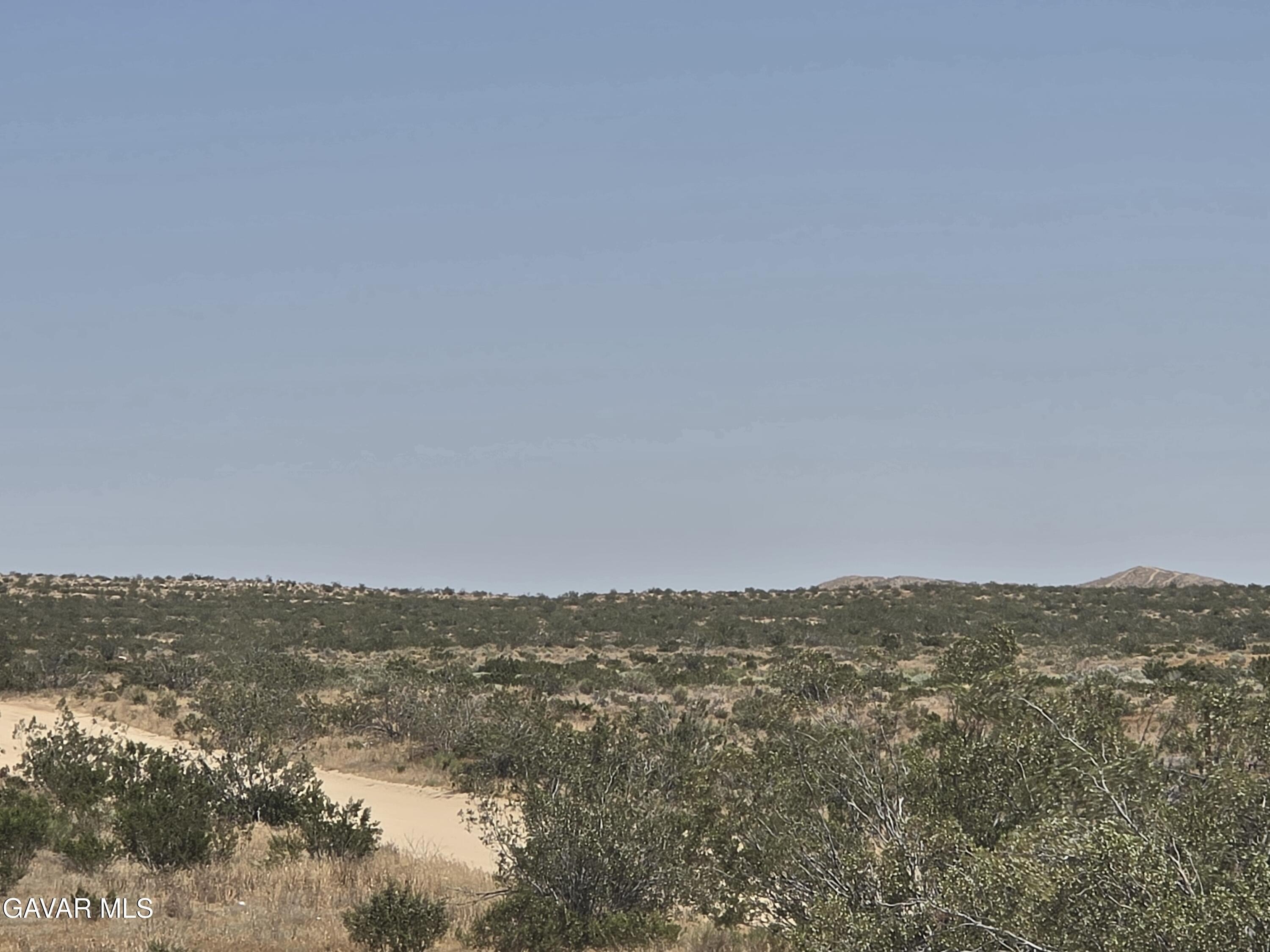 Rosamond Land for Custom Home