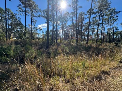 Residential Lot Near Lake