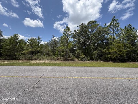 LAND - Chipley, FL