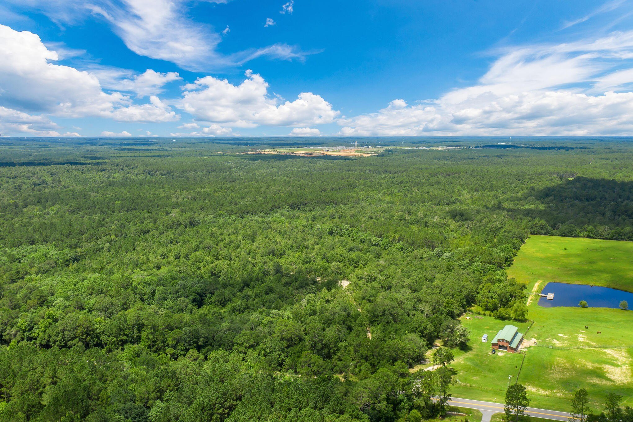 220-Acre Walton County Timber Tract