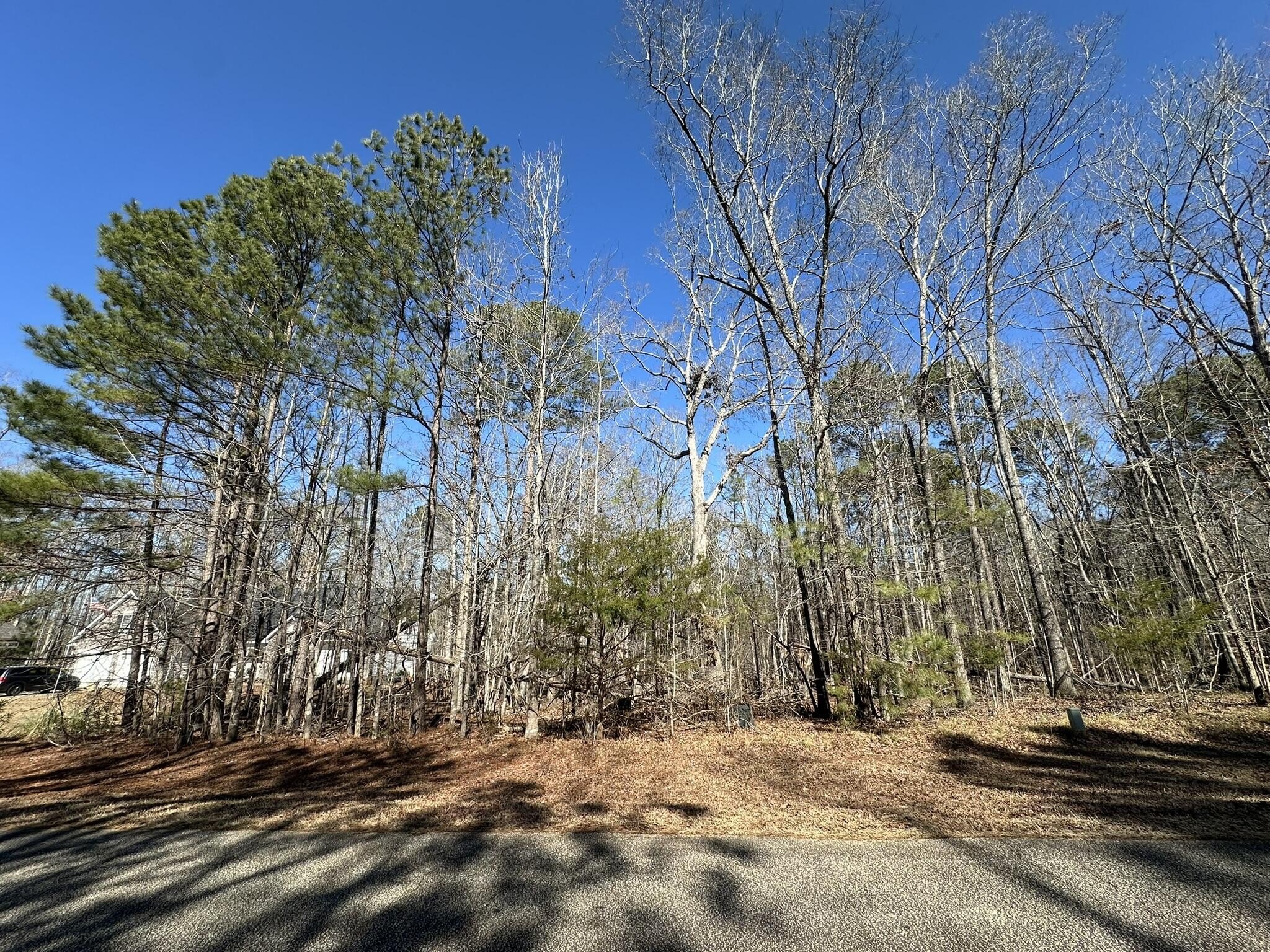 Residential Lot in Savannah Lakes