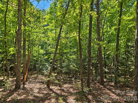 Land, Troy, NC