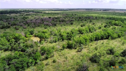 Kosse, TX 148-Acre Land