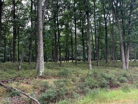 Land in Eagle Rock Resort