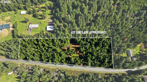 Forested Land Parcel in Bandon