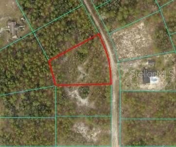 Spacious Buildable Homesite in Ocala