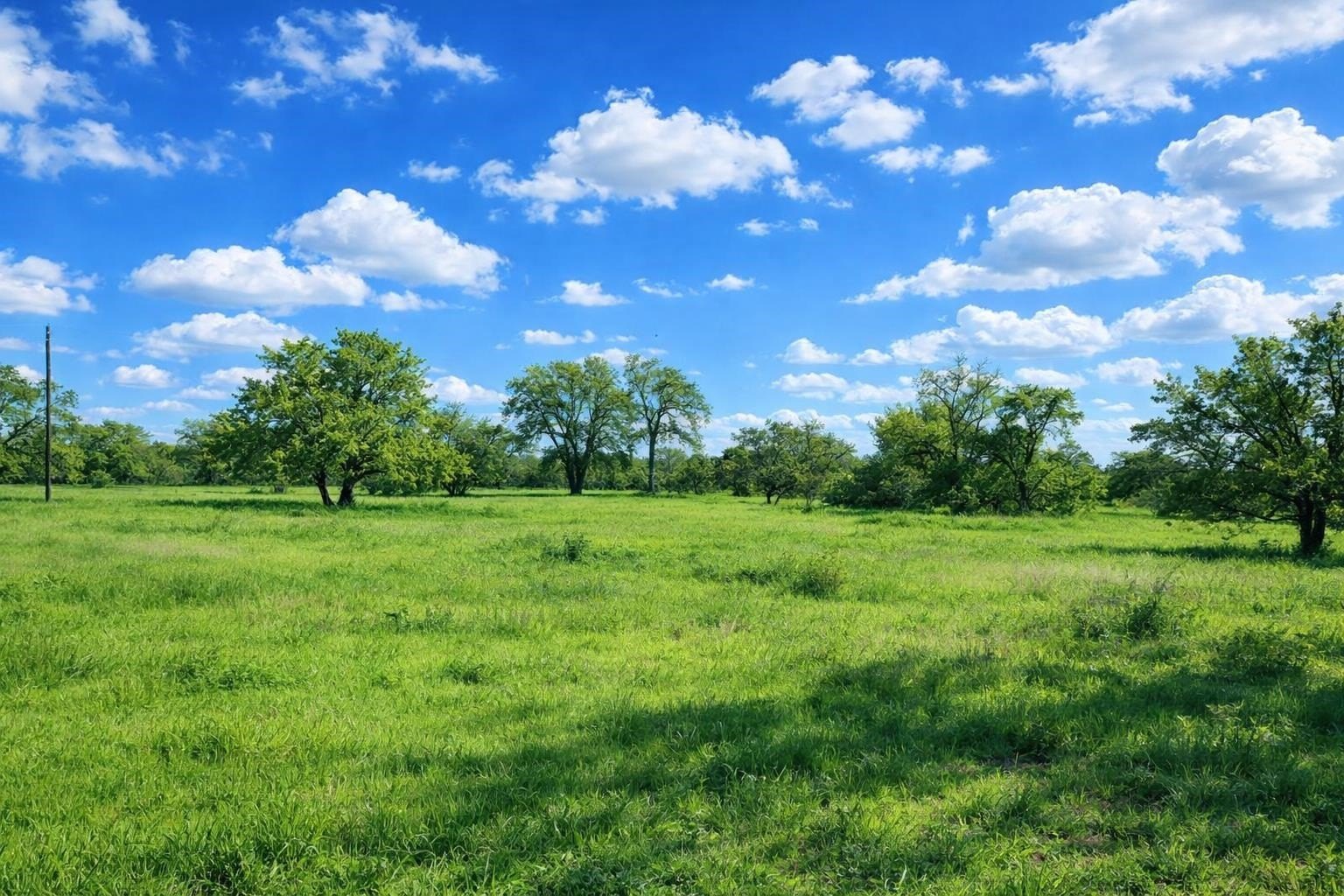6.3 AC Estate Lot