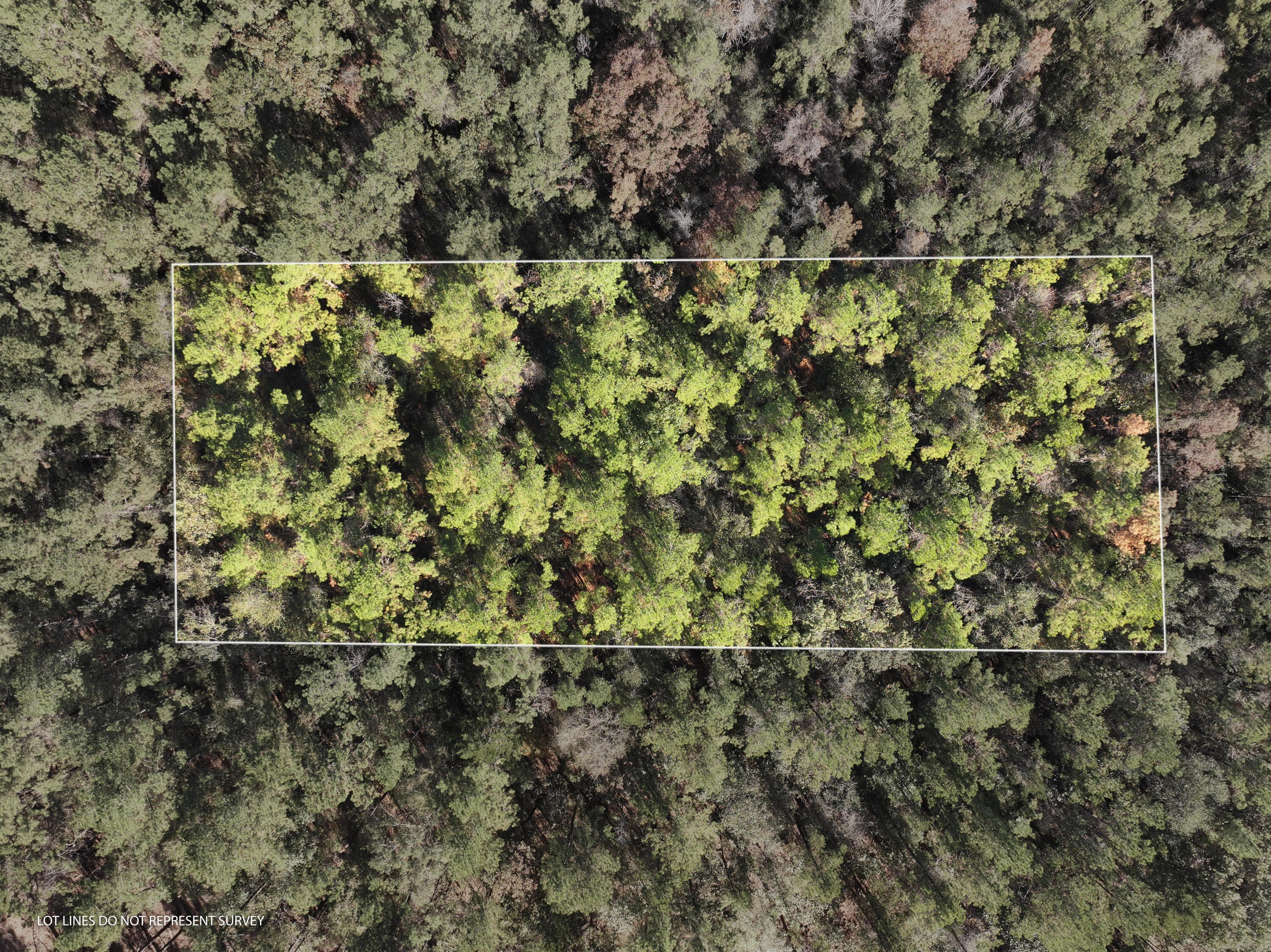 Residential Land Near Leaf River