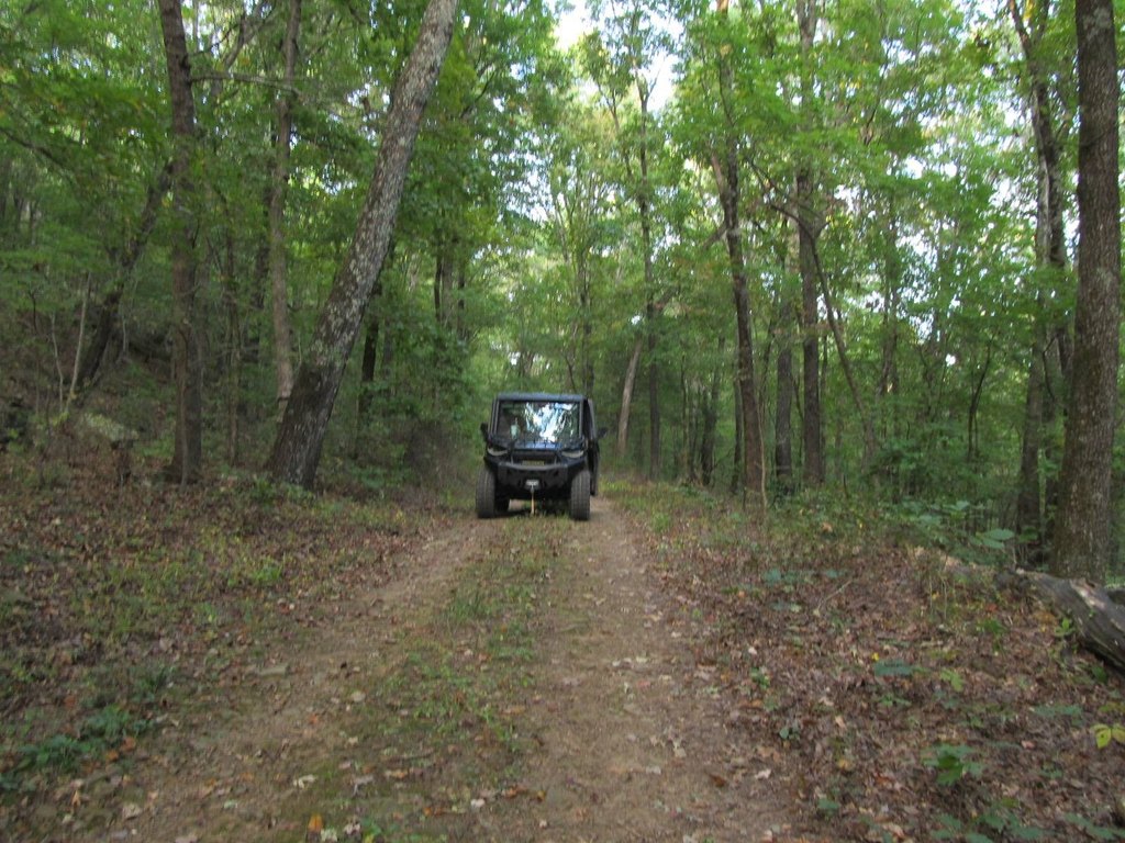 Picture 2