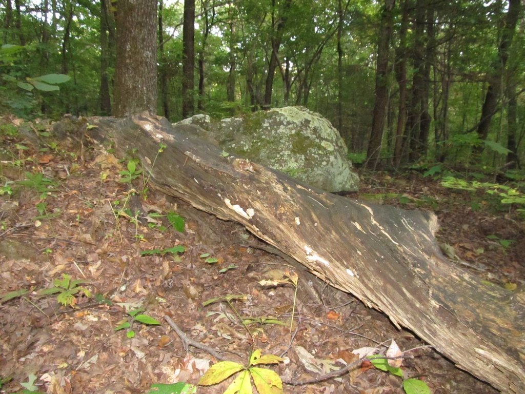 Picture 5