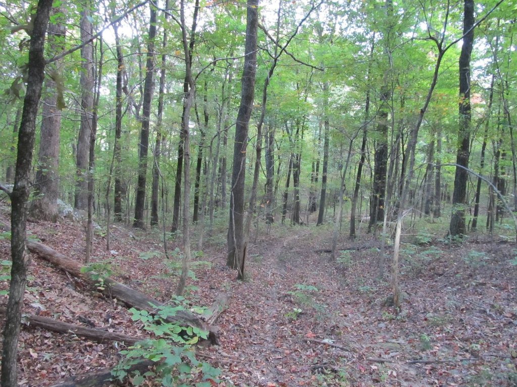 Picture 7
