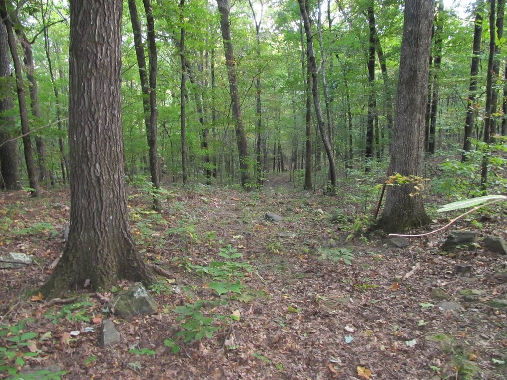 Picture 6