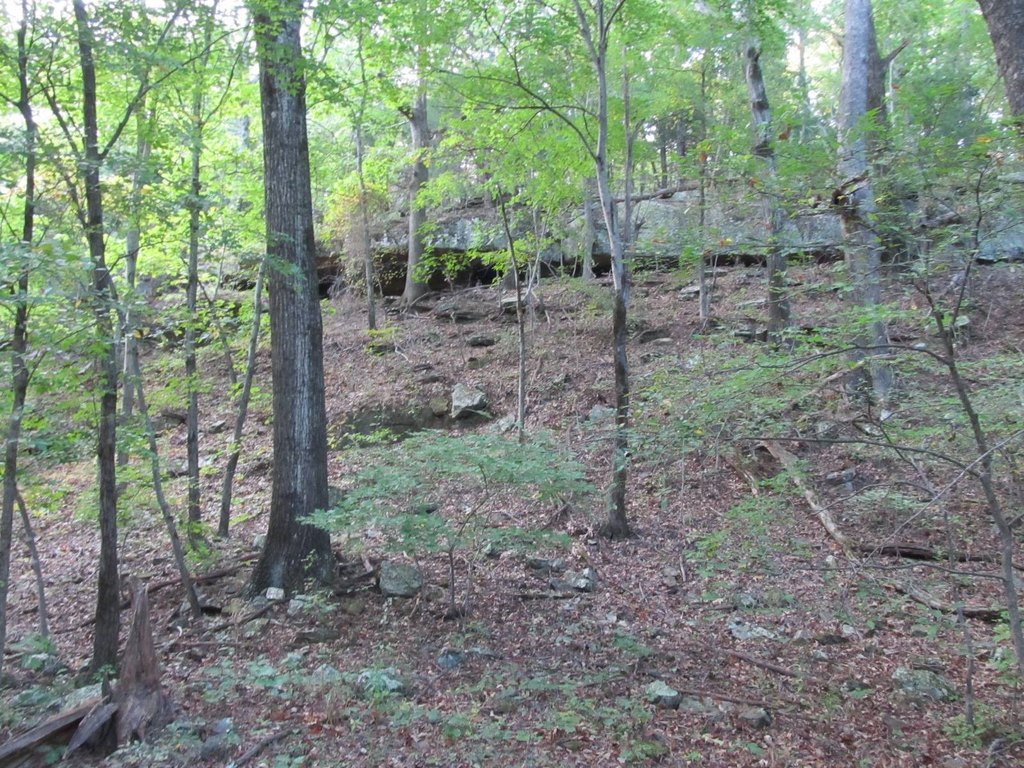Picture 3