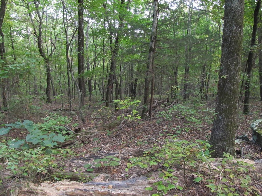 Picture 4
