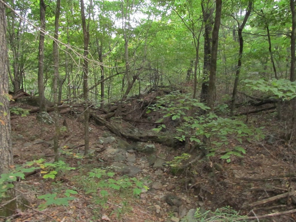 Picture 8