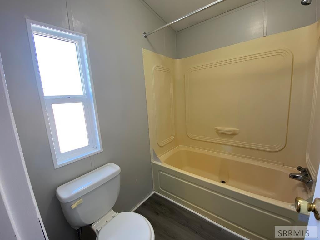 Picture 17