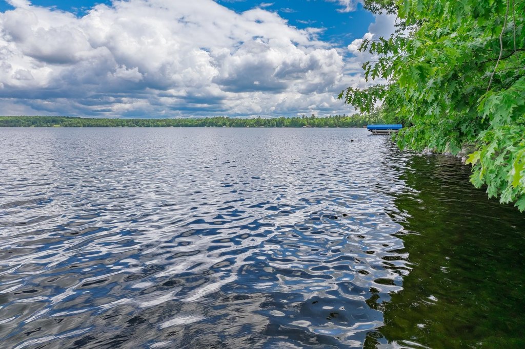 Picture 27