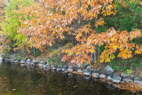 Land, Conover, WI