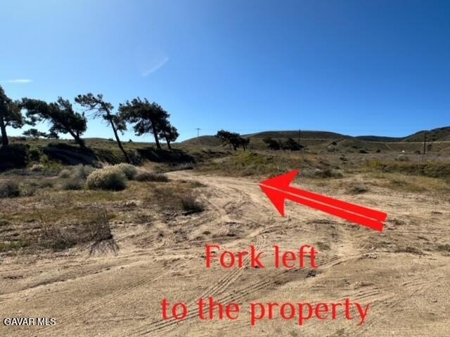 Picture 6