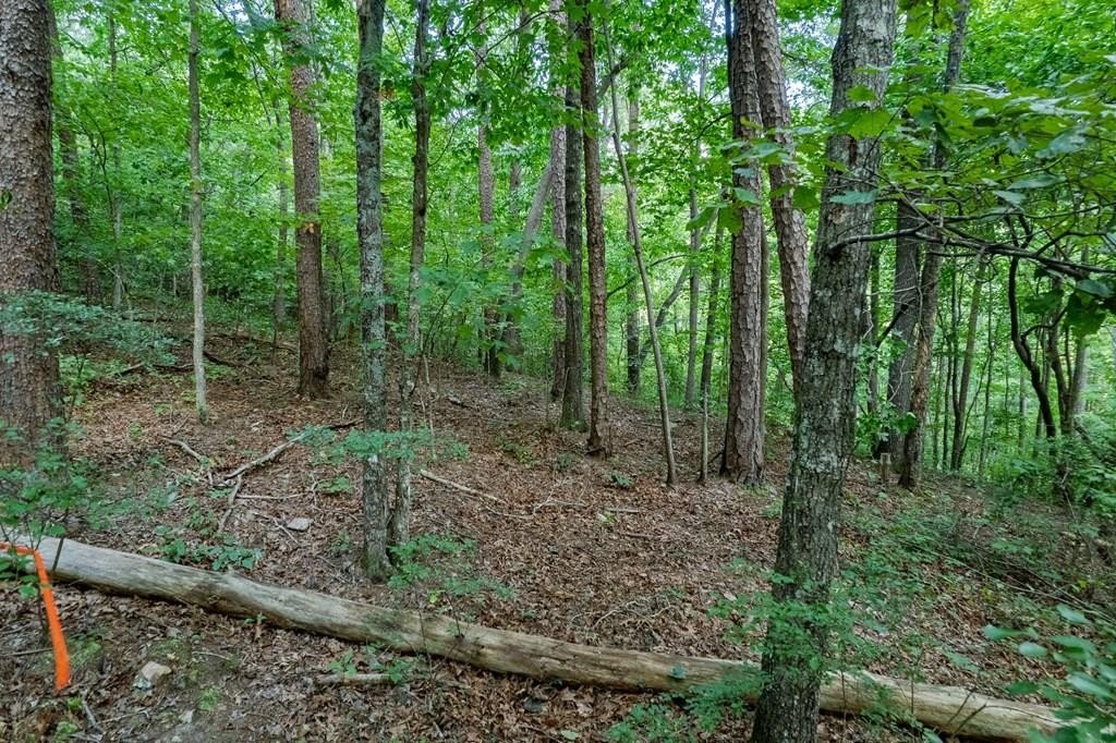 Talking Rock Mountain Retreat Lot