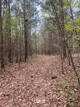 Benton Land with Hardwoods