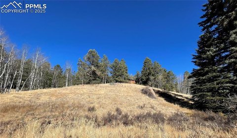 Land in Colorado Mountain Estates