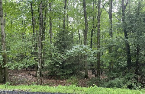 LAND - Albrightsville, PA