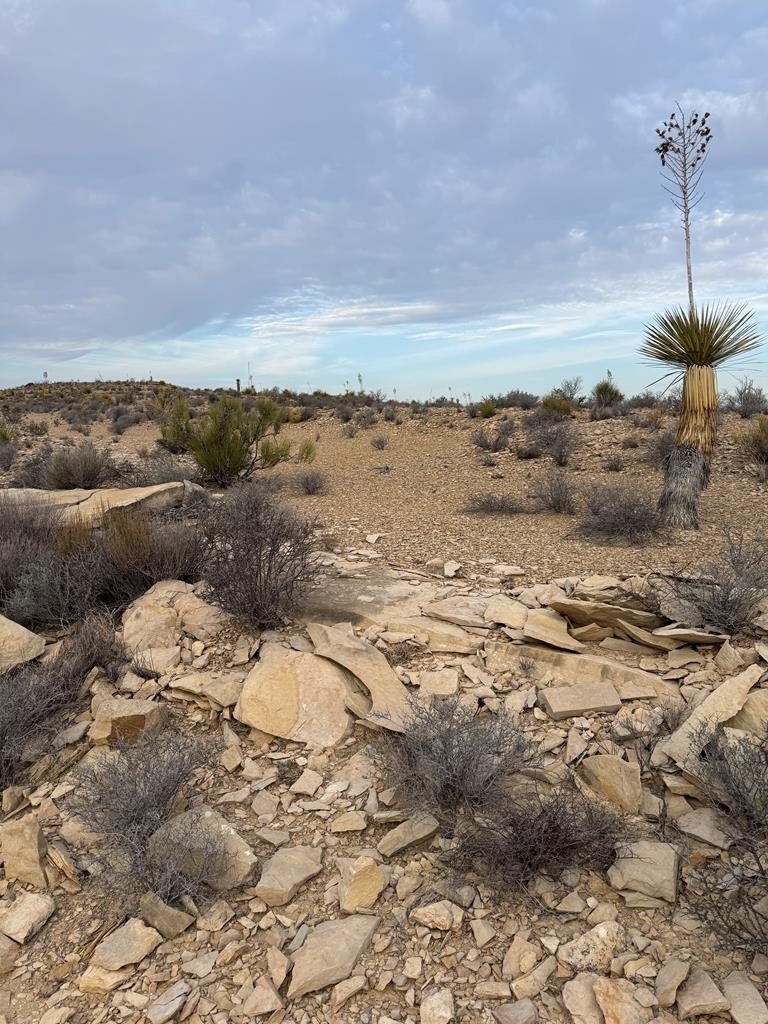 Terlingua Ranch 40-Acre Tract