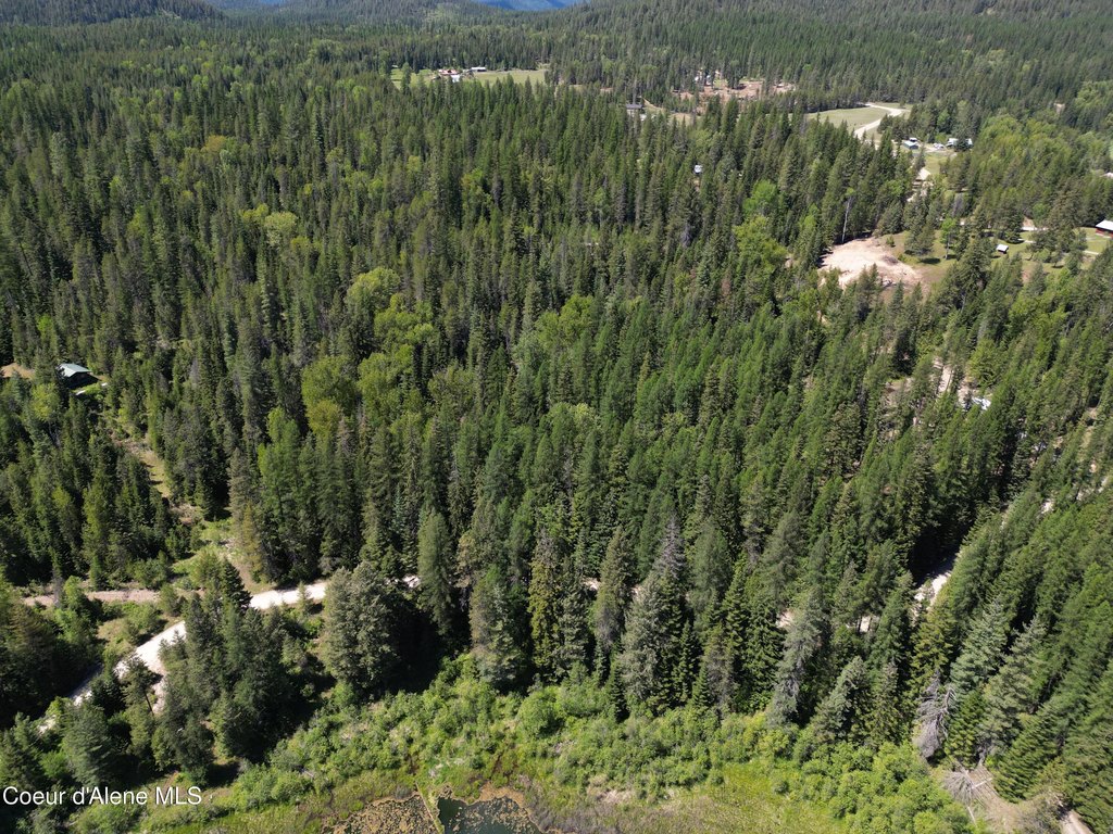 Picture 29