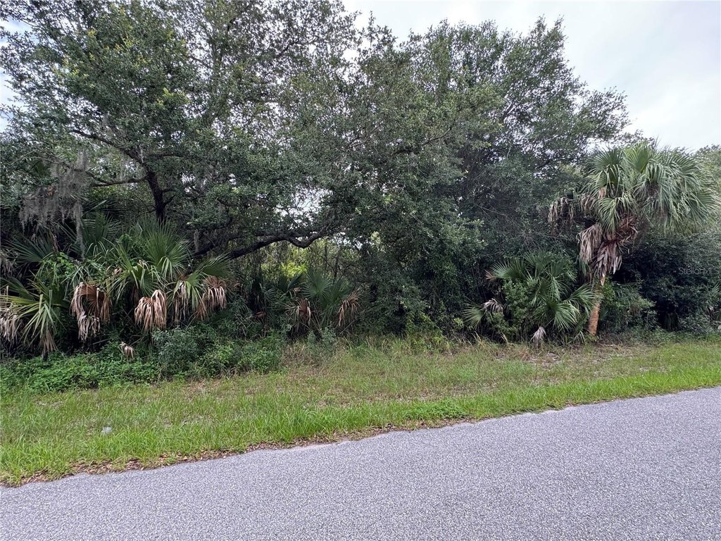 Picture 5