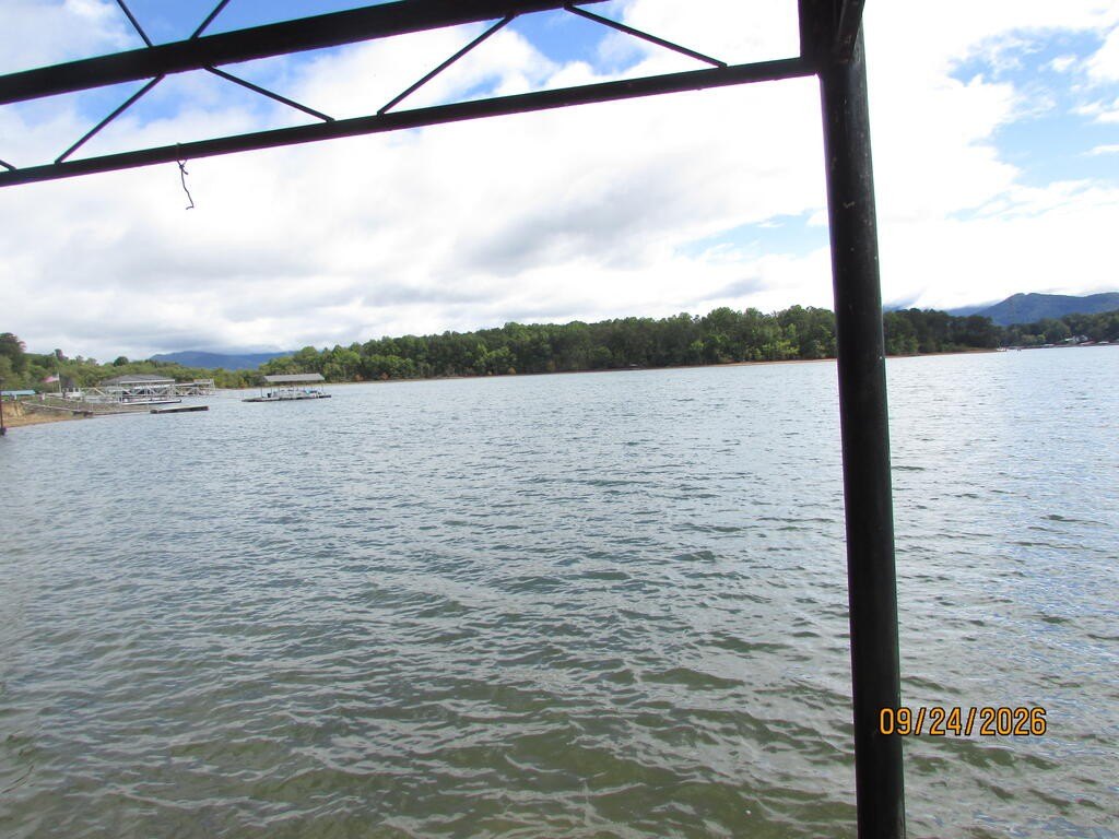 Picture 7