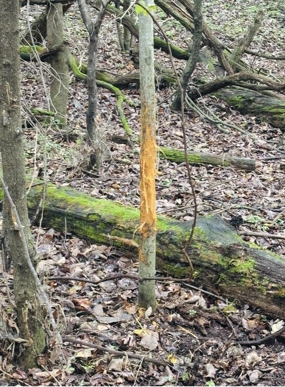 Picture 3