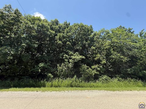 Wooded Single-Family Home Lots