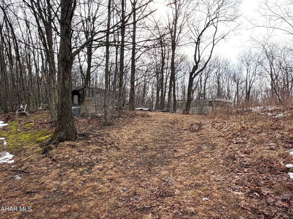 Picture 14