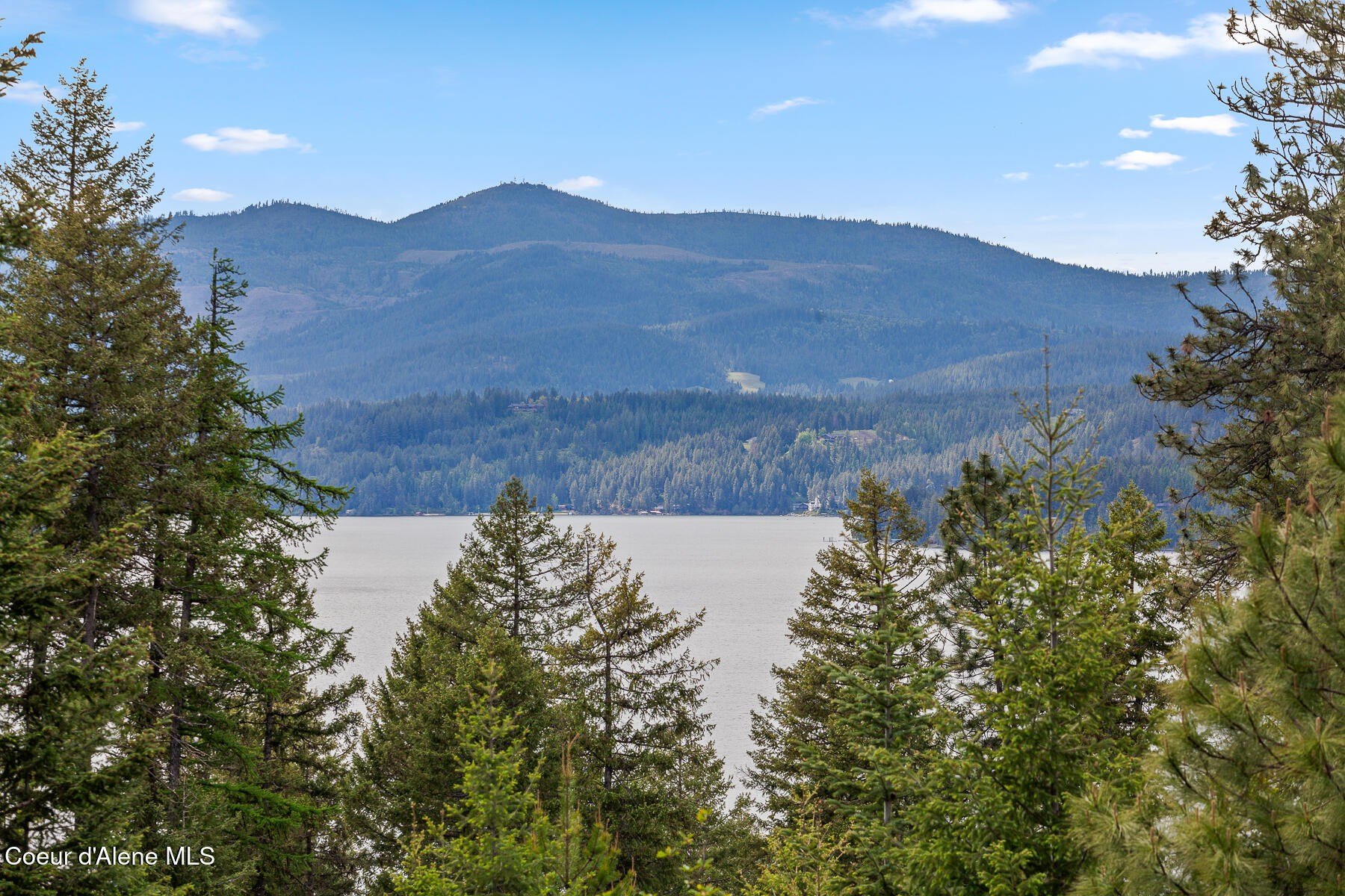 Harrison, ID Treed Lot