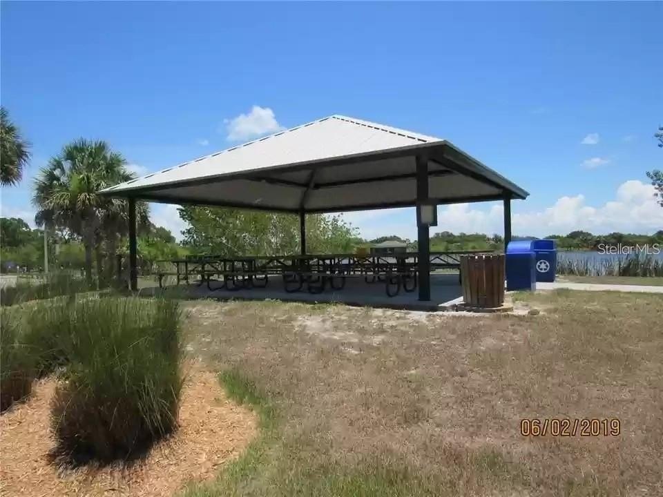 Picture 7