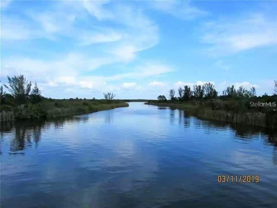 Picture 8