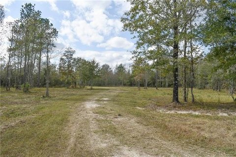 Residential Land in Livingston, LA