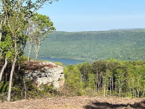Land, Guild, TN
