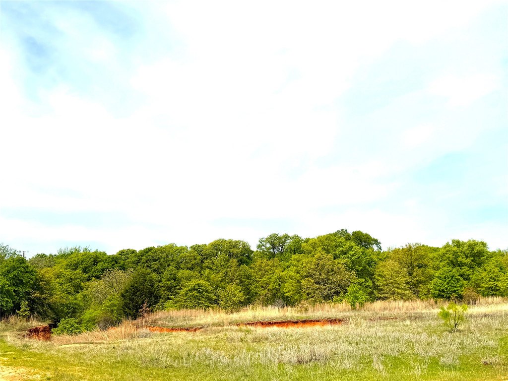Picture 28