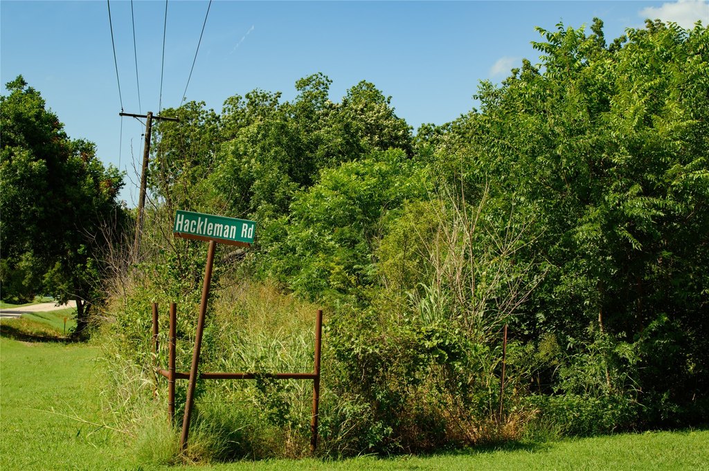 Picture 7