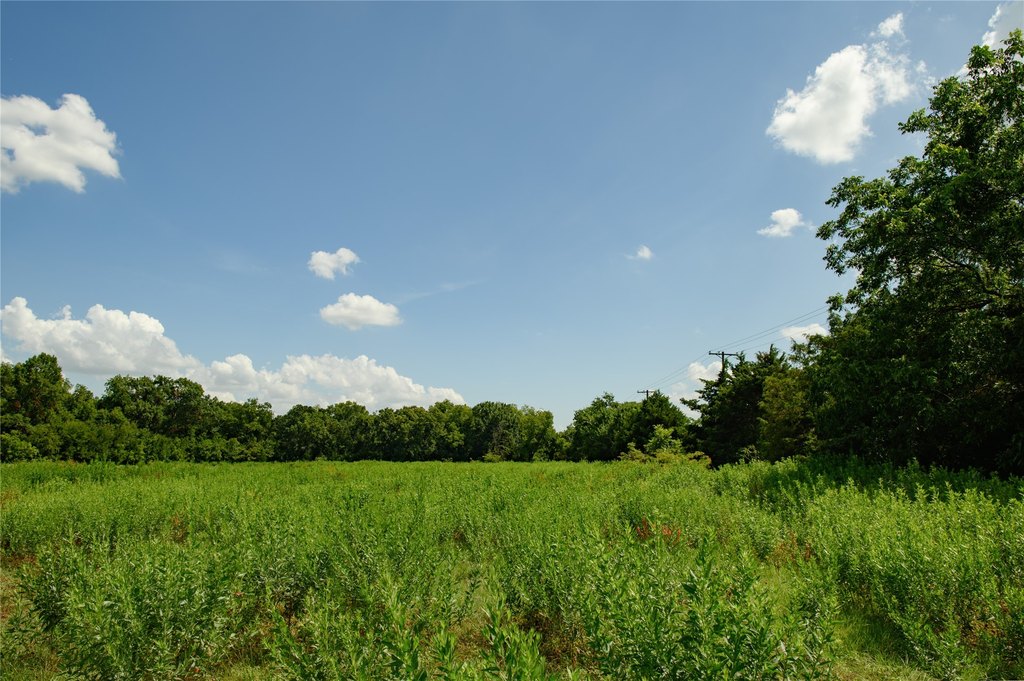 Picture 4