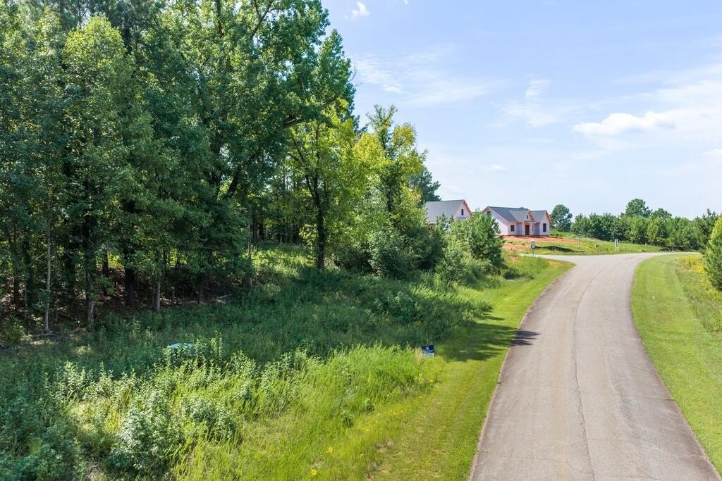 Picture 3