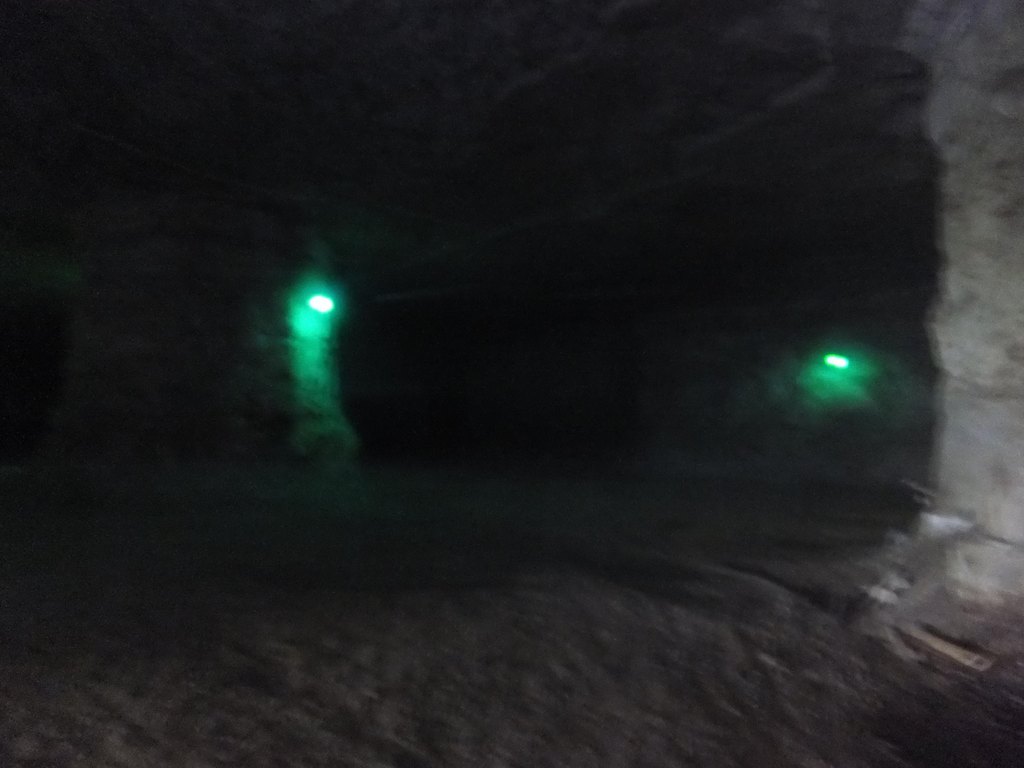 Picture 8
