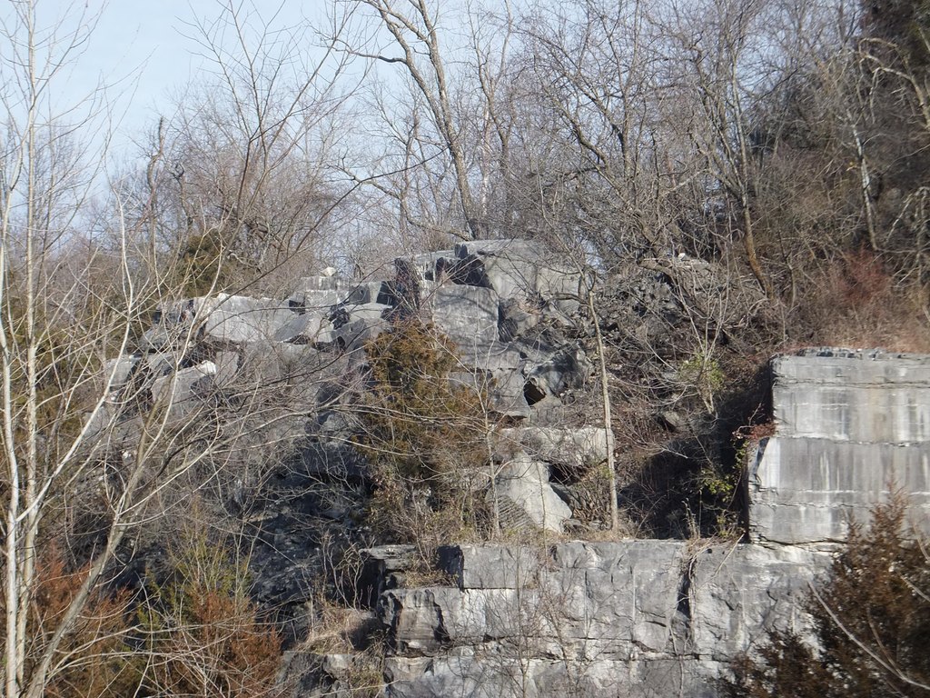 Picture 14