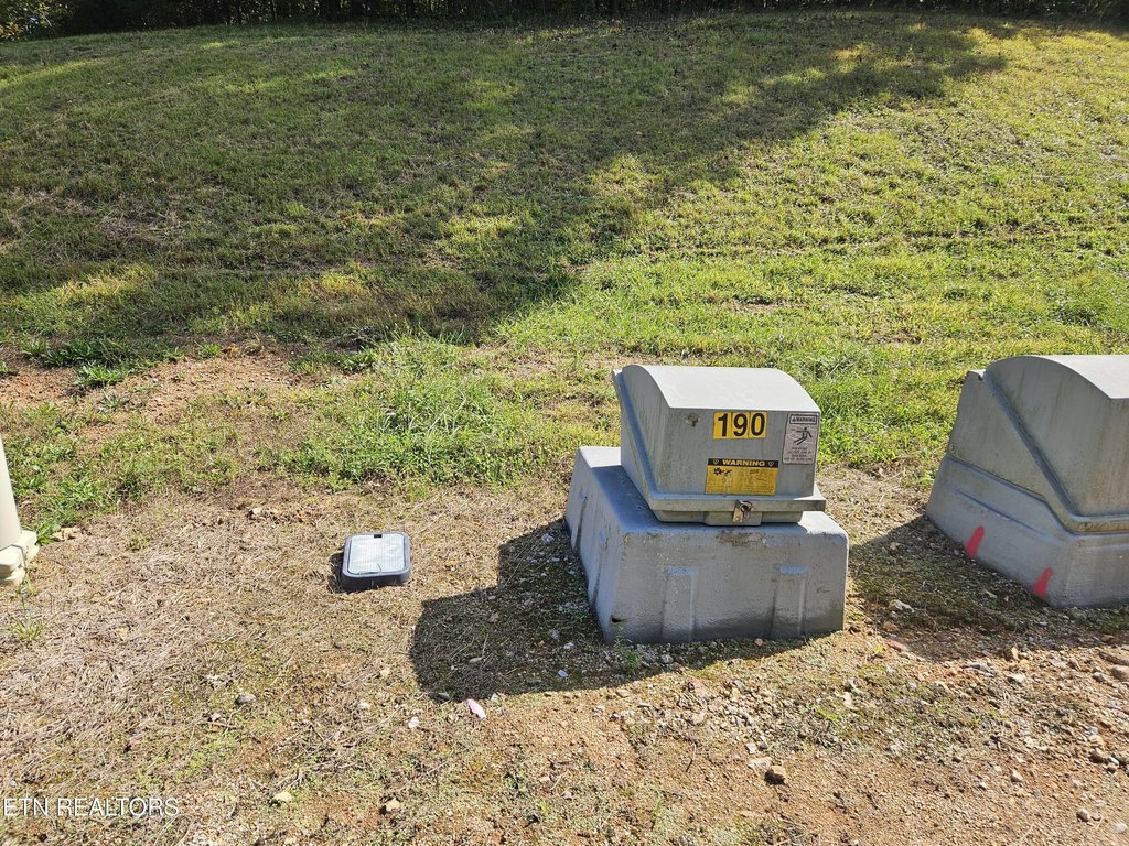 Picture 19