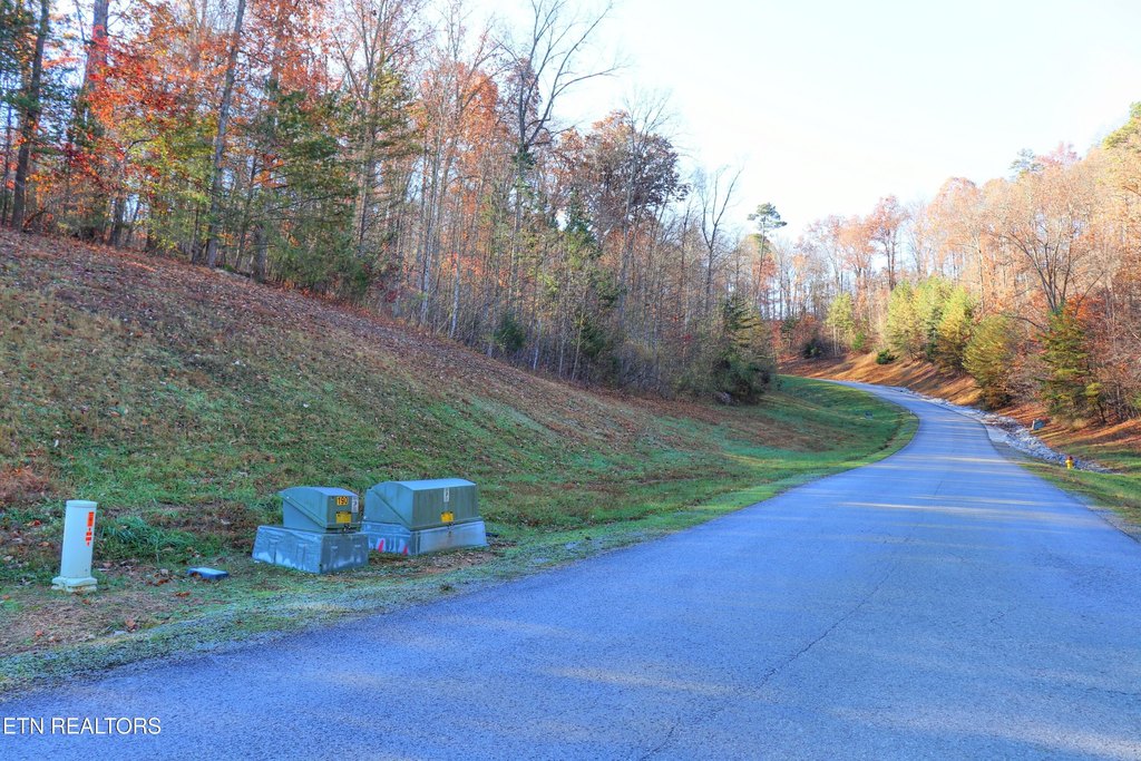Picture 16